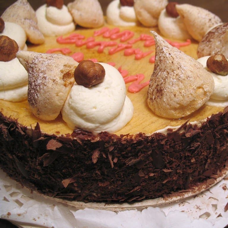 Belgian Nutella Hazelnut Cake — chocolate sponge cakes
